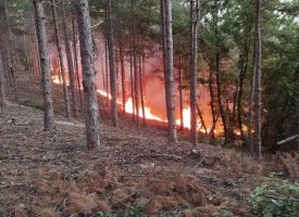 Пожарът край Калугерово се разраства