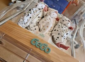 Рядко медицинско явление доведе до раждането на тризнаци в болница „Селена“