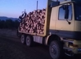 15 кубика незаконни дърва и товарен автомобил са задържани край Батак