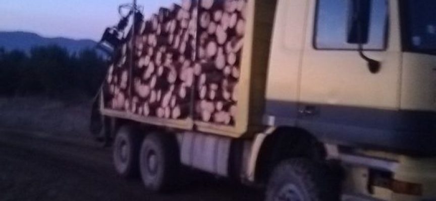 15 кубика незаконни дърва и товарен автомобил са задържани край Батак