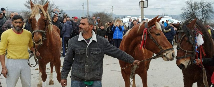 Конят Гошо спечели три първи места на кушията в Ракитово