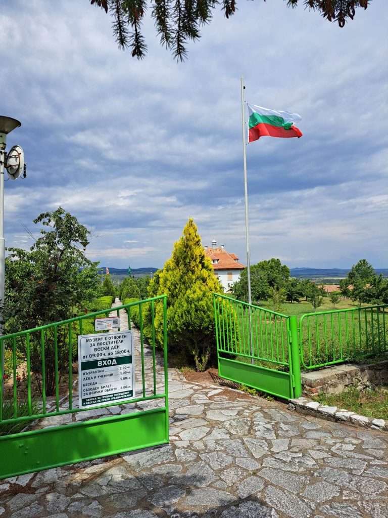13вилата