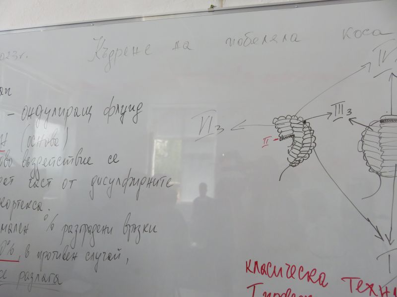 14салон2