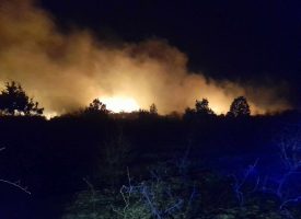 Брациговци се включиха в гасенето на пожара край Памидово, Карабунар, Величково и Бошуля