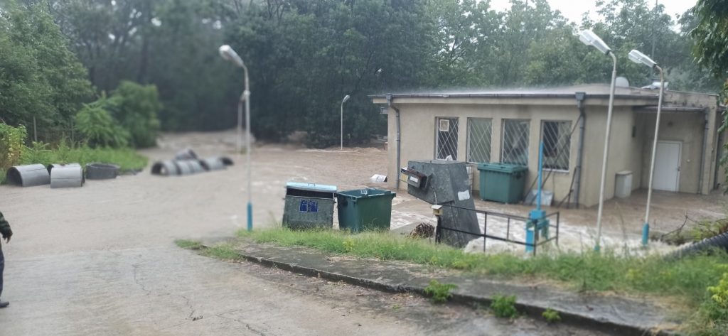 05ЦАРЕВО1111