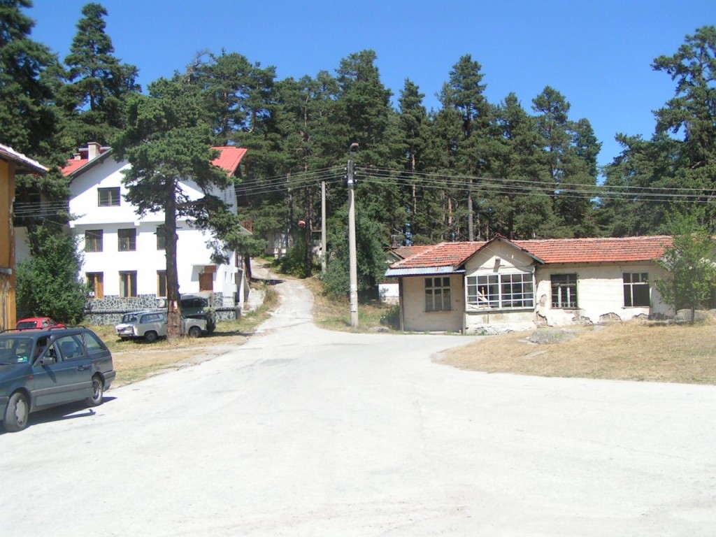 2013