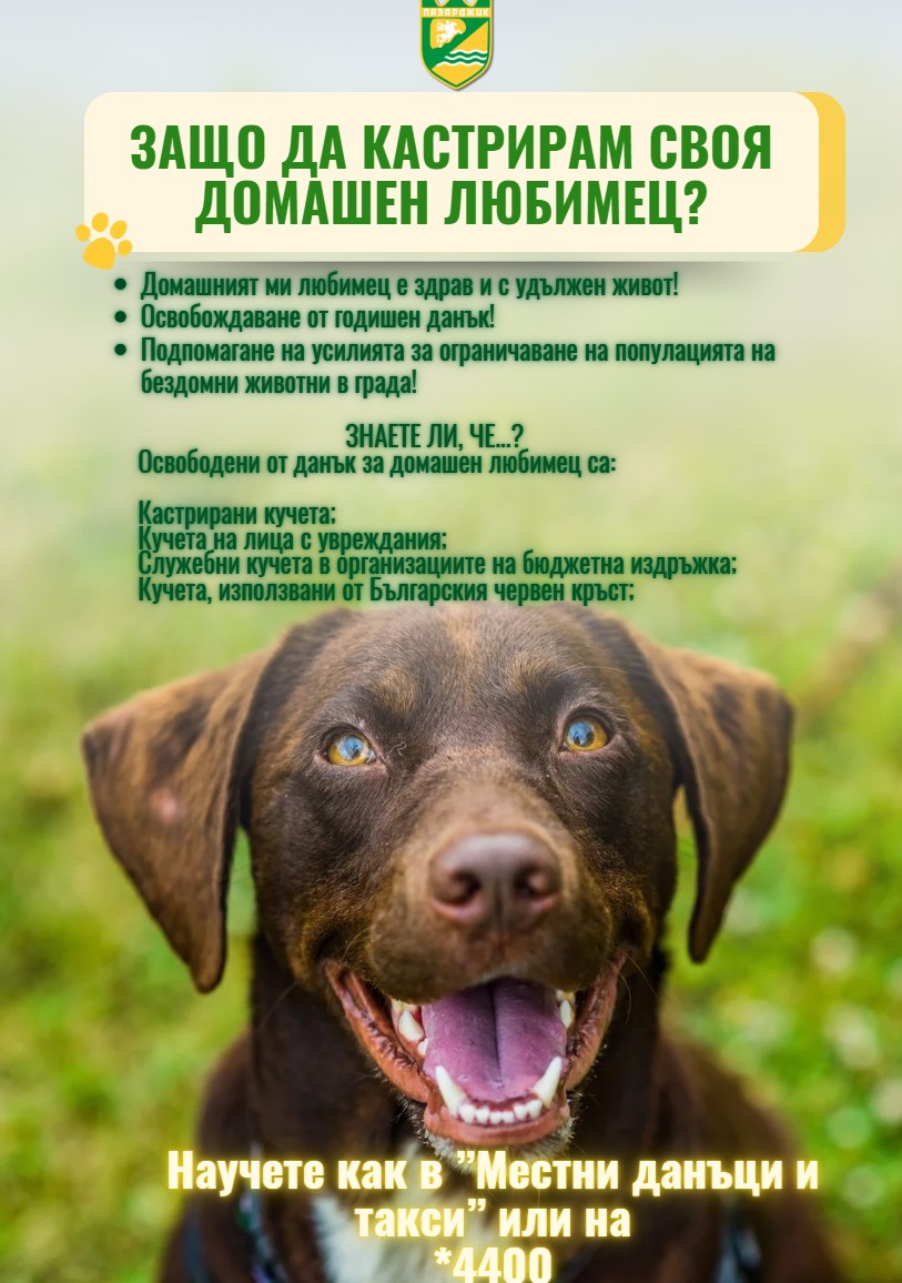 кучета