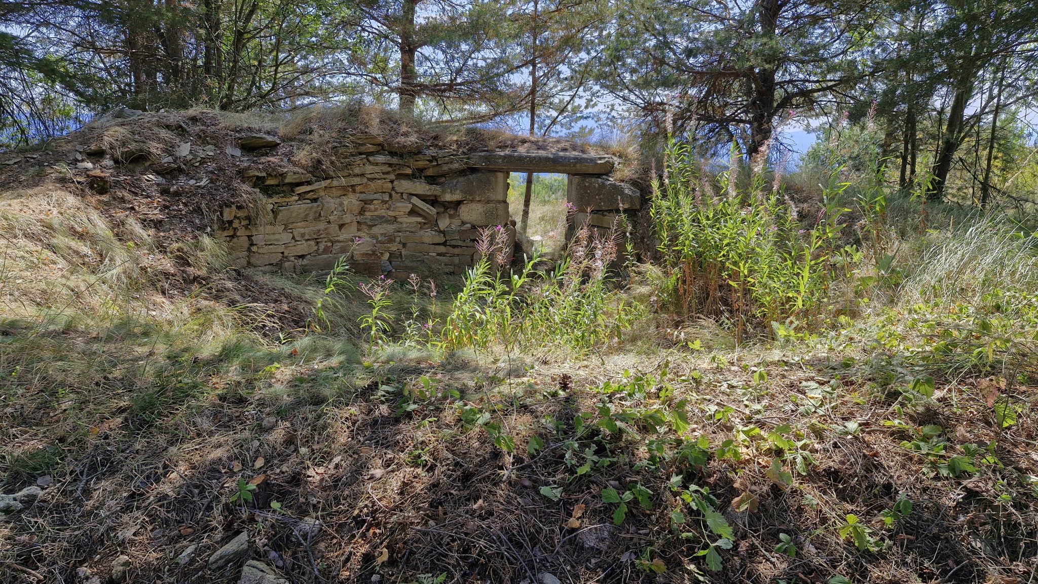 20250816 113237