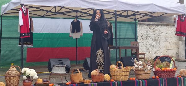 festival kapitan dimitrievo 2025 4