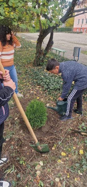 Нови дръвчета от „Обичам моето училище“ красят двора на ПГСС „Царица Йоанна“