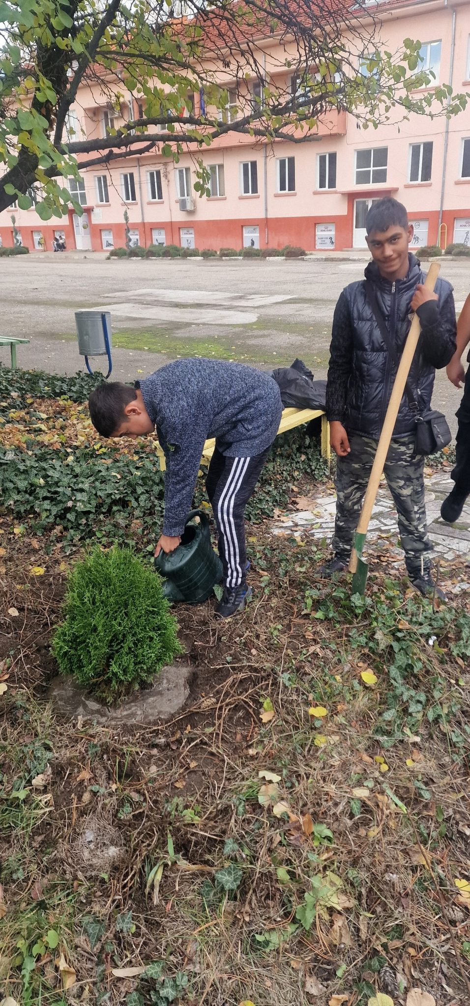 Нови дръвчета от „Обичам моето училище“ красят двора на ПГСС „Царица Йоанна“ 5 засаждане на дръвчета 9